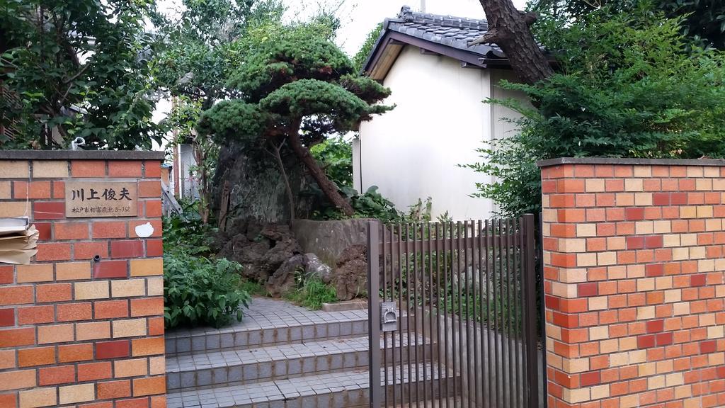 "Cherry House" Is Direct To Narita,Haneda Ap, Disney, Asakusa, Skytree Tower, Tokyo Matsudo Dış mekan fotoğraf