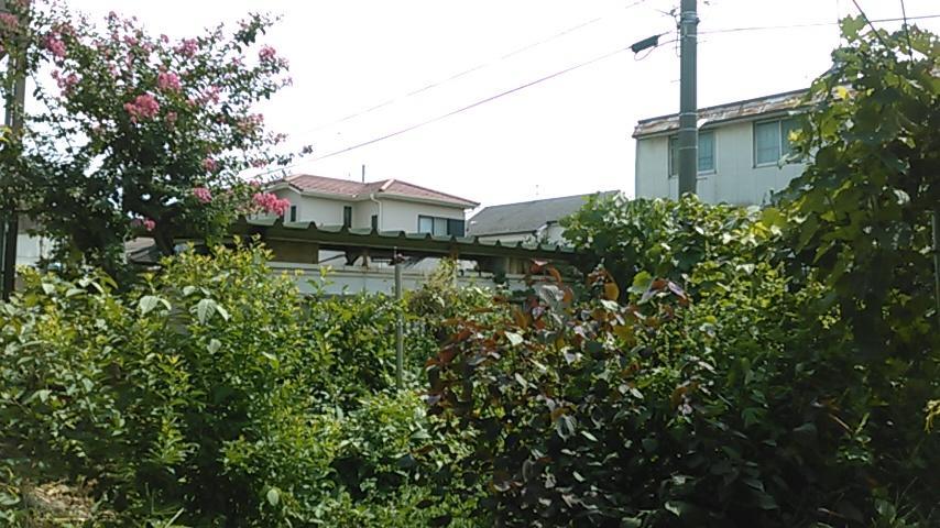 "Cherry House" Is Direct To Narita,Haneda Ap, Disney, Asakusa, Skytree Tower, Tokyo Matsudo Dış mekan fotoğraf